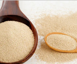 yeast powder